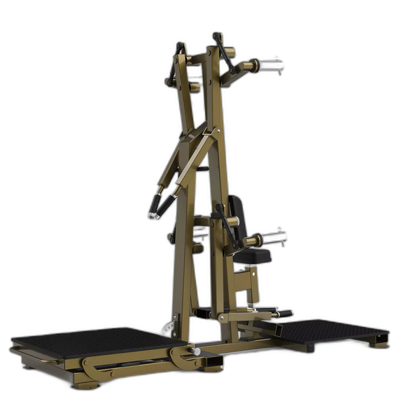 Lateral Raise/Rear Deltoid LD-1004