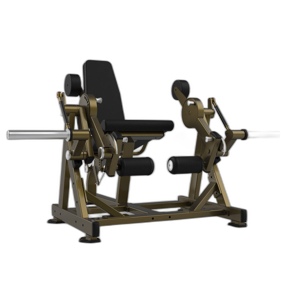 Leg Extension LD-2001