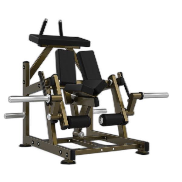 Kneeling Curl LD-2002