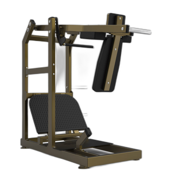 Pendulum Squat LD-2006