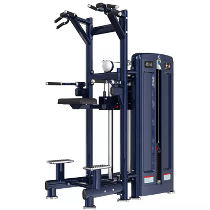 Chin/Dip Assist M7pro-1010