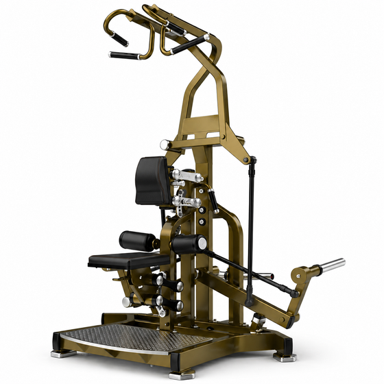 Circular Lat Pulldown LD-1018