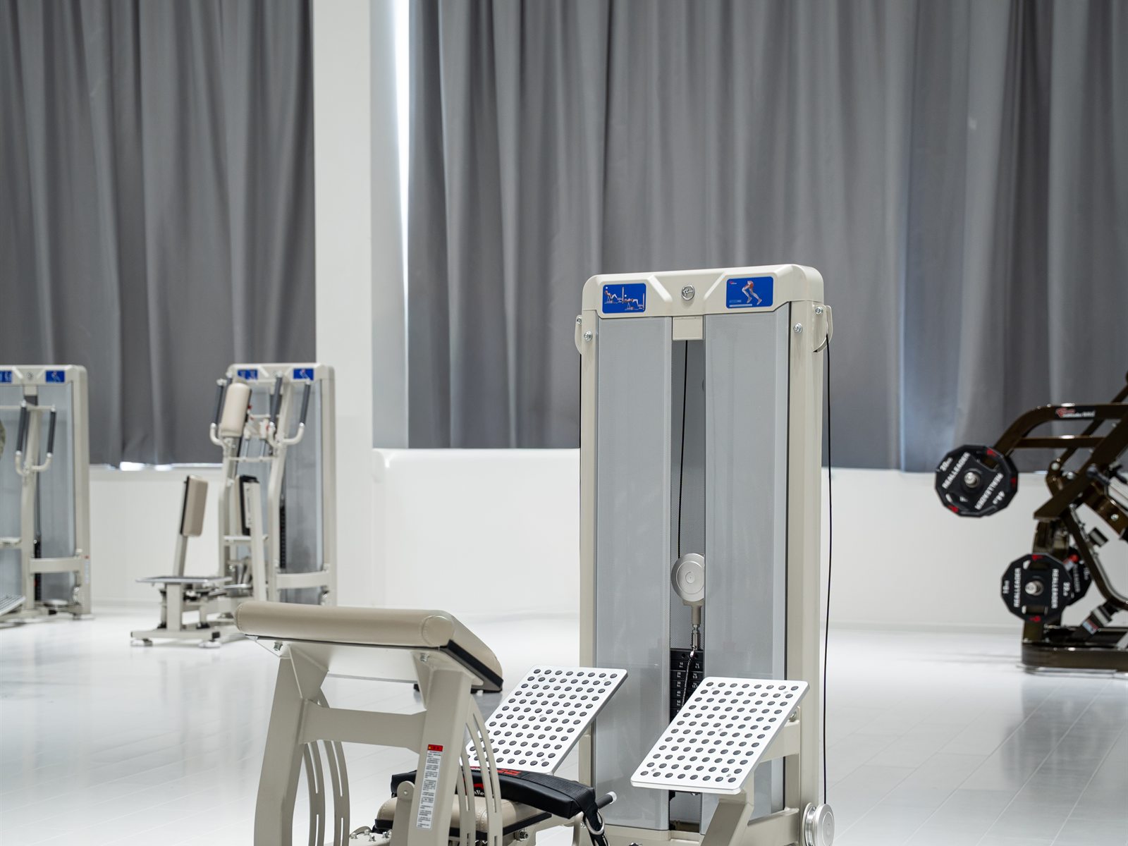 GluteLeader machines arranged for a lower-body training zone