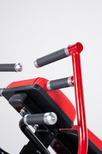 Tricep Extension LD-1019