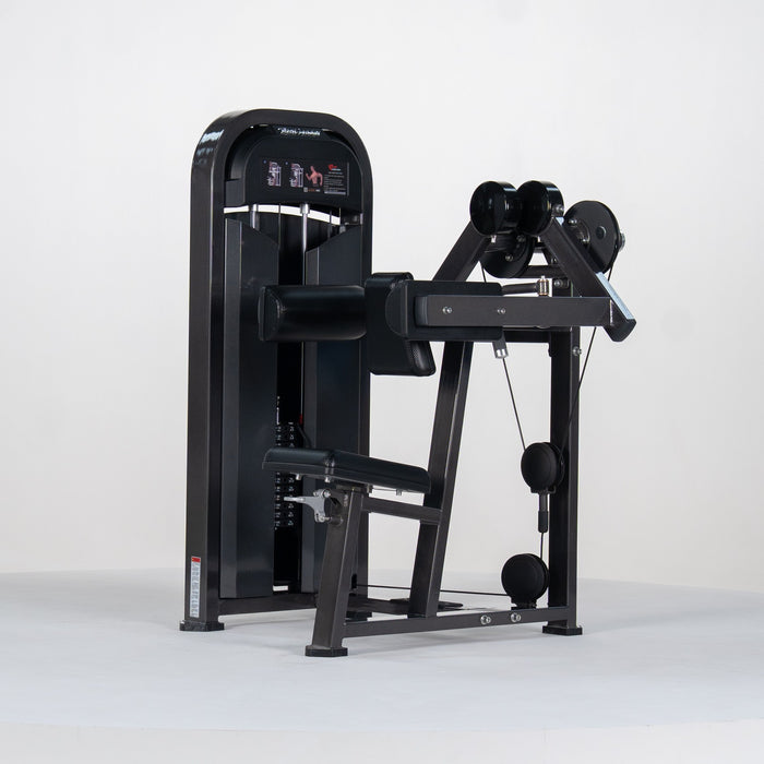 Lat Raise M2-1002