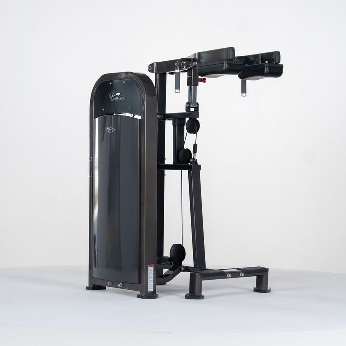 Standing Calf Raise M2-1019