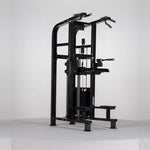 Chin/Dip Assist M2-1020